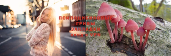 хмурый Алексеевка