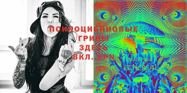 дживик Абаза