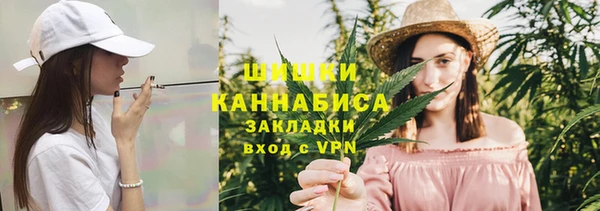 дживик Абаза