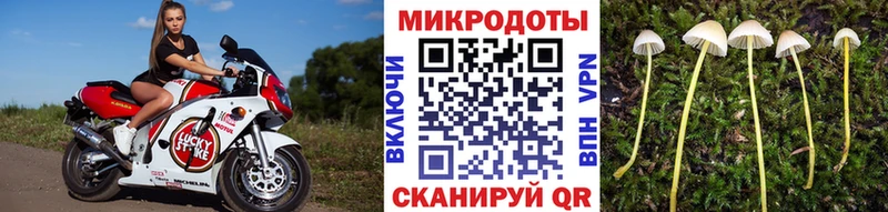 Псилоцибиновые грибы Psilocybine cubensis  купить наркотик  Таштагол 